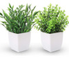 Der Rose 2 Paquetes Plantas Falsas Mini Plantas Artificiales 0