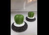 Virulana Esponja Con Forma De Cactus Plástico Cocina 10cm 5