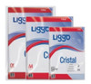 Folios Liggo Oficio X100 50 Micrones 0