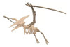 Dino Pterodactilo Puzzle 3d Corte Laser 0