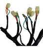 Cableado Principal Corven Dx 70 3