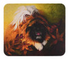 Tesoros De La Caroline Pekingese Boogie Mouse Pad/pad/sal 0