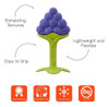 ~? Innobaby Original Teethin Smart Ez Grip Fruit Mordedor Y 1