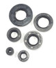 Kit Juego Retenes Motor Suzuki Ax 100 0