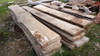Tablones De Madera De Álamo. 5