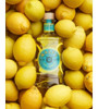 Gin Malfy Limone 700ml. Importado Italia -- 1