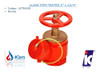 Llave Tipo Teatro Valvula Incendio 2  X 13/4  Ic Met 2