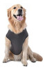 Star Wars Darth Vader Perro Tanque | Camisa De Perro Star Wa 3