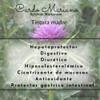 Tintura Madre De Congorosa 50 Ml. Magia Natural. Homeopatía 4
