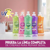 Crema De Peinar Sedal Acido Hialuronico + Vit A X3uni X300ml 5