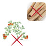 Tutor Escalera Mediana Para Plantas Trepadoras 6