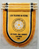 Banderines Acolchonados 24 Cm X 30 Cm    Somo Lideres!!! 6