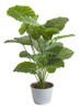 Planta Artificial 65 Cm  - Alocasia Deco Hogar 0
