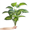Planta Artificial 65 Cm  - Alocasia Deco Hogar 3