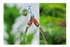Distribuidor Doble Riego 2 Vías Independientes Gardena 9402 2