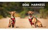 Arnes Para Perros Sin Tiron Barkbay Paso Grande En Arnes 5