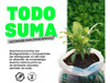 Separadores Compostables 20x25 ( 500 Un ) 3