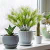 Coreland Planta Artificial Exteriores, Plantas Tallos 12 Y 3