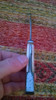 Antiguo Cuchillo Caza Monte Con Defensa Filtemple Forjado 6