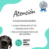 Adaptil Transport Spray Feromonas Perros 60ml-petit Pet Shop 7