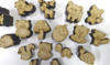 100 Letras Mdf 3cm 20 Animalitos Del Bosque Y 20 Del Mar 5