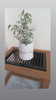 Mesa De Arrime 2