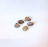 Jaspe Leopardo Rolado - Ixtlan Minerales 1