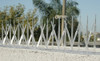 Control Palomas.control Aves. Controlar Palomas 3