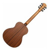 Washburn Agm5 K Aprendiz De La Serie Natural. 1