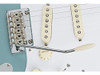 Guardabarros Americano Estándar Strat Tremelo Brazo 1