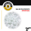 Sal De Polifosfato Filtro Boya Siliphos Alemania X 1/2 Kilo 1
