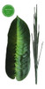 Defembaquia 50 Cm - Plantas De Interior Artificiales 3