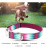 Collar Para Perro Ajustable Con Broche Metal Peacock Talle S 5