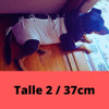 Bata De Cirugìa Para Castracion 0