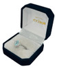 Conjunto De Plata C/raíz De Aguamarina (co221) 2