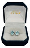 Conjunto De Plata C/raíz De Aguamarina (co221) 3