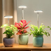 Luz De Crecimiento, Luz Led De Espectro Completo Planta... 1