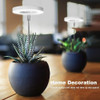Luz De Crecimiento, Luz Led De Espectro Completo Planta... 4