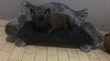 Sillón Cama Cucha Perro Mediano 3