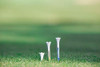 Juego De 30 Tees De Plastico Para Golf. 3 1/4 De Altura. 3