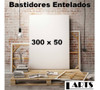 Bastidor Entelado Profesional (lienzo) 300 Cm X 50cm 1