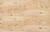 Chapon De Madera Fenolico 12mm Cdx Eucalipto Obra 6