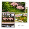 Artibetter 8 Piezas Árbol Flor Cerezo Imitación Miniatura, Y 3