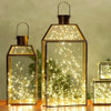 10 Guirnaldas Led Alambre Luz Calida X 3m. A Pilas 1