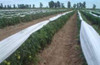 Manta Antihelada 1,40m X 10 Metros Oferta!!! $ 4