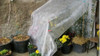 Manta Antihelada 1,40m X 10 Metros Oferta!!! $ 6