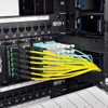 Tripp Lite Mtpmpo Apc Monomodo Smf Cable De Parche De Fibra 1