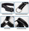 Collar De Cabeza De Perro Wintchuk, Collar De Cabeza Con Cor 3