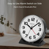 Famicozy Reloj Despertador Con Retroiluminacion Automatica, 3