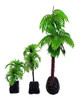 M2cbridge 9pcs Plantas De Acuario De Arboles De Coco De Plr 5